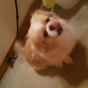 Meet your Posher, Erica